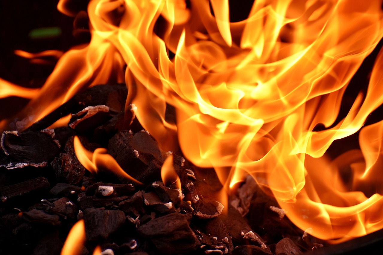¿Cuáles son las características principales del carbono?