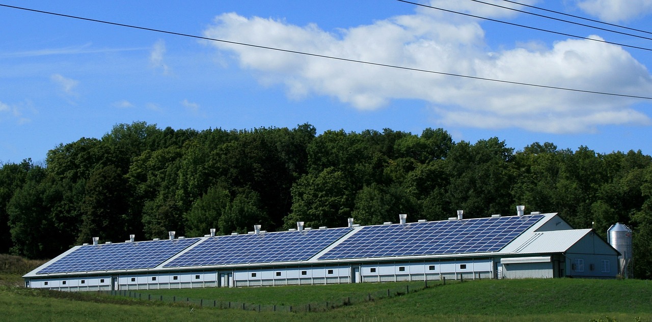 ¿Qué es y cómo funciona un generador eléctrico?