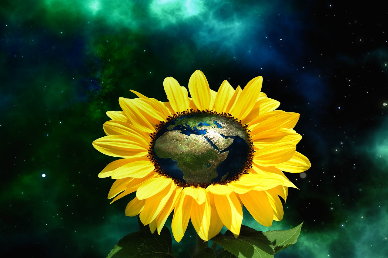 ¿Cuáles son los espacios naturales protegidos?