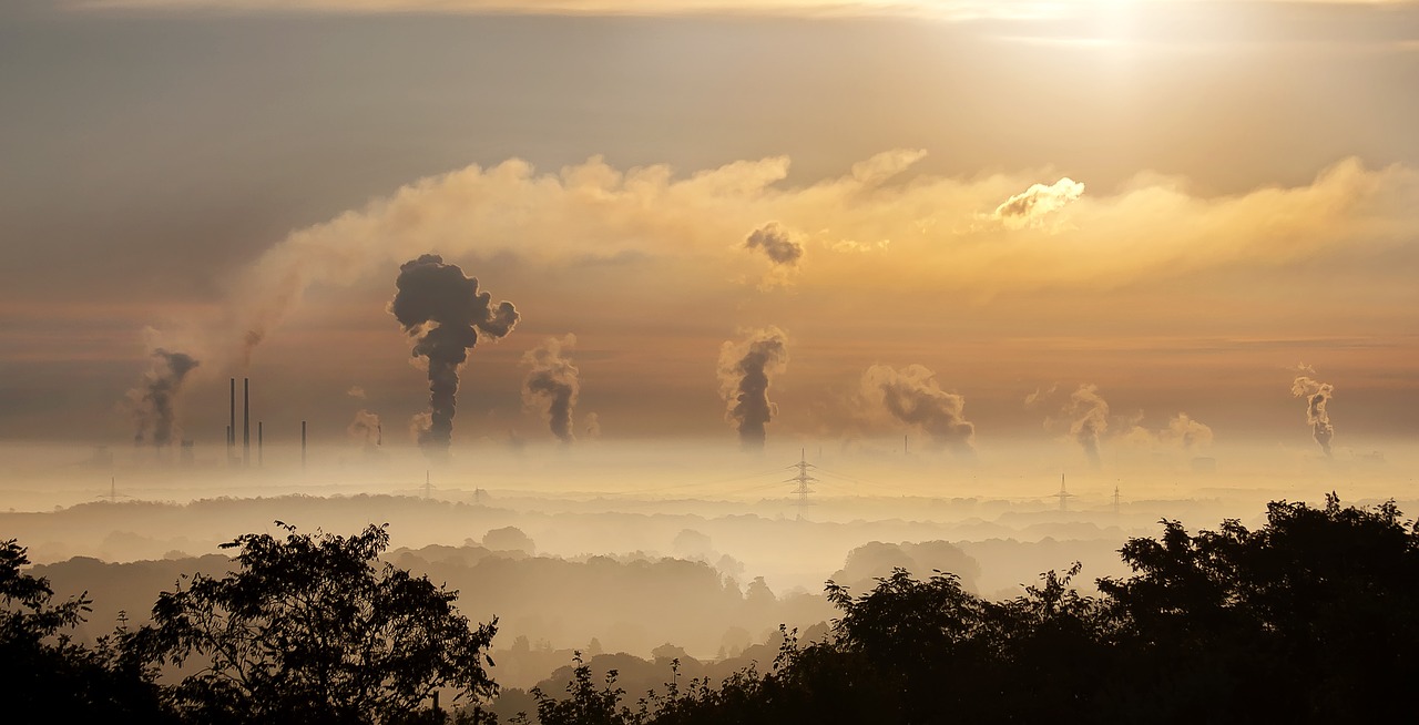 ¿Qué causa el smog y la contaminación?