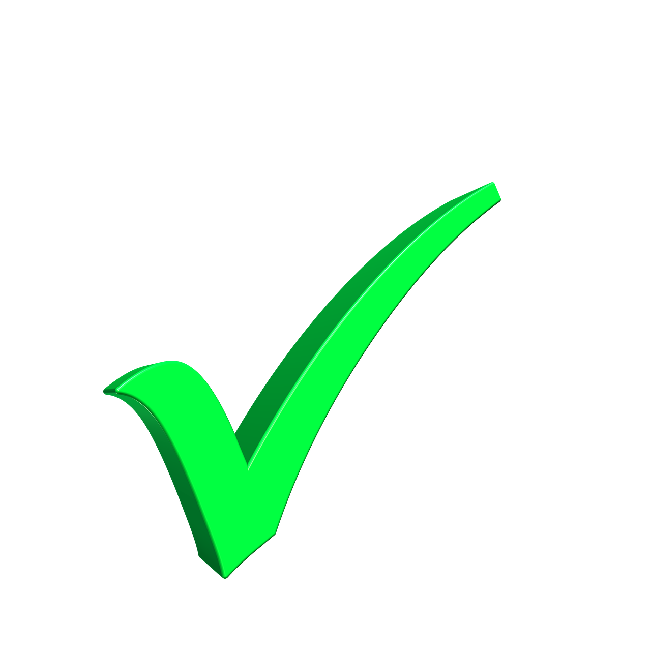 ¿Qué entendemos por verificación?