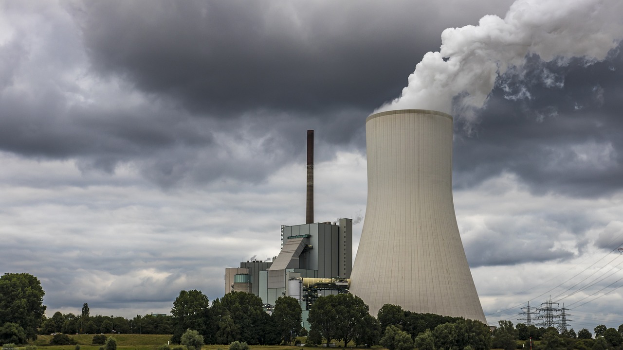 ¿Qué es la contaminacion en ecologia?