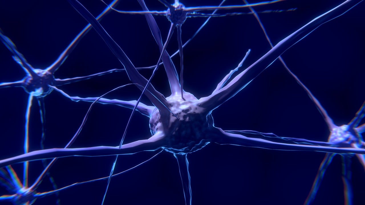 ¿Qué es un sistema de control y seguimiento?