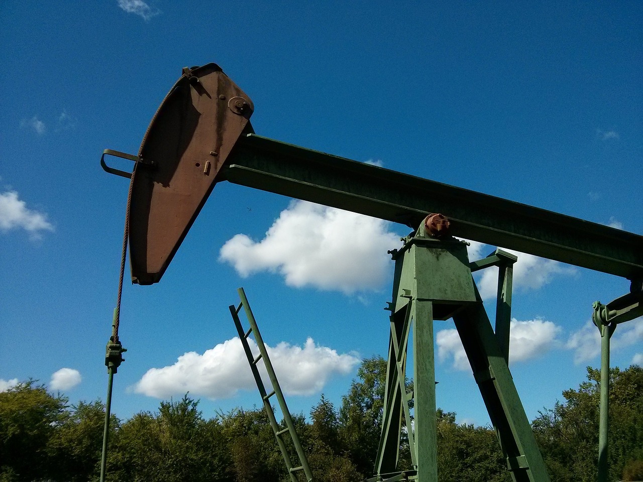 ¿Cómo se da la formación del petróleo?