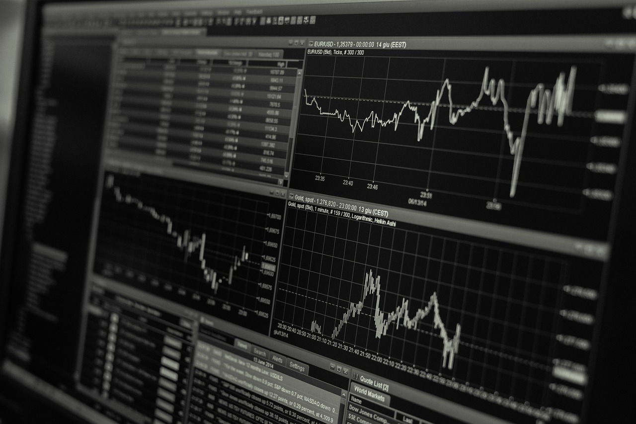 ¿Que se entiende por economía sostenible?